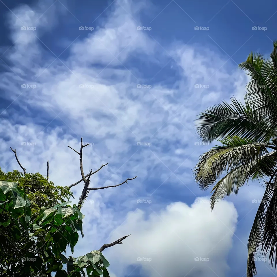 Beautiful sky scenery