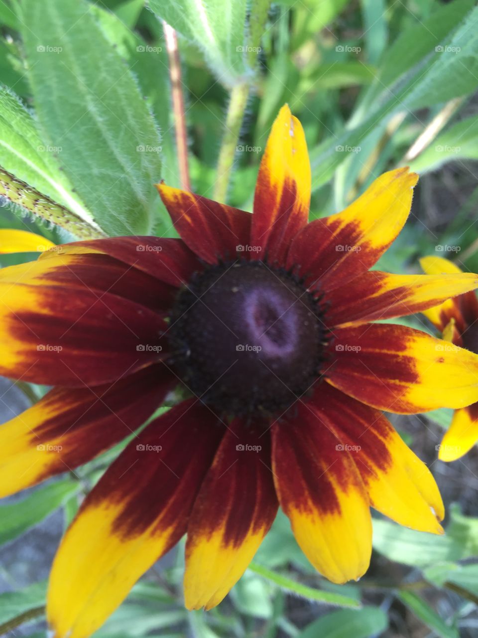 Beautiful Imperfection