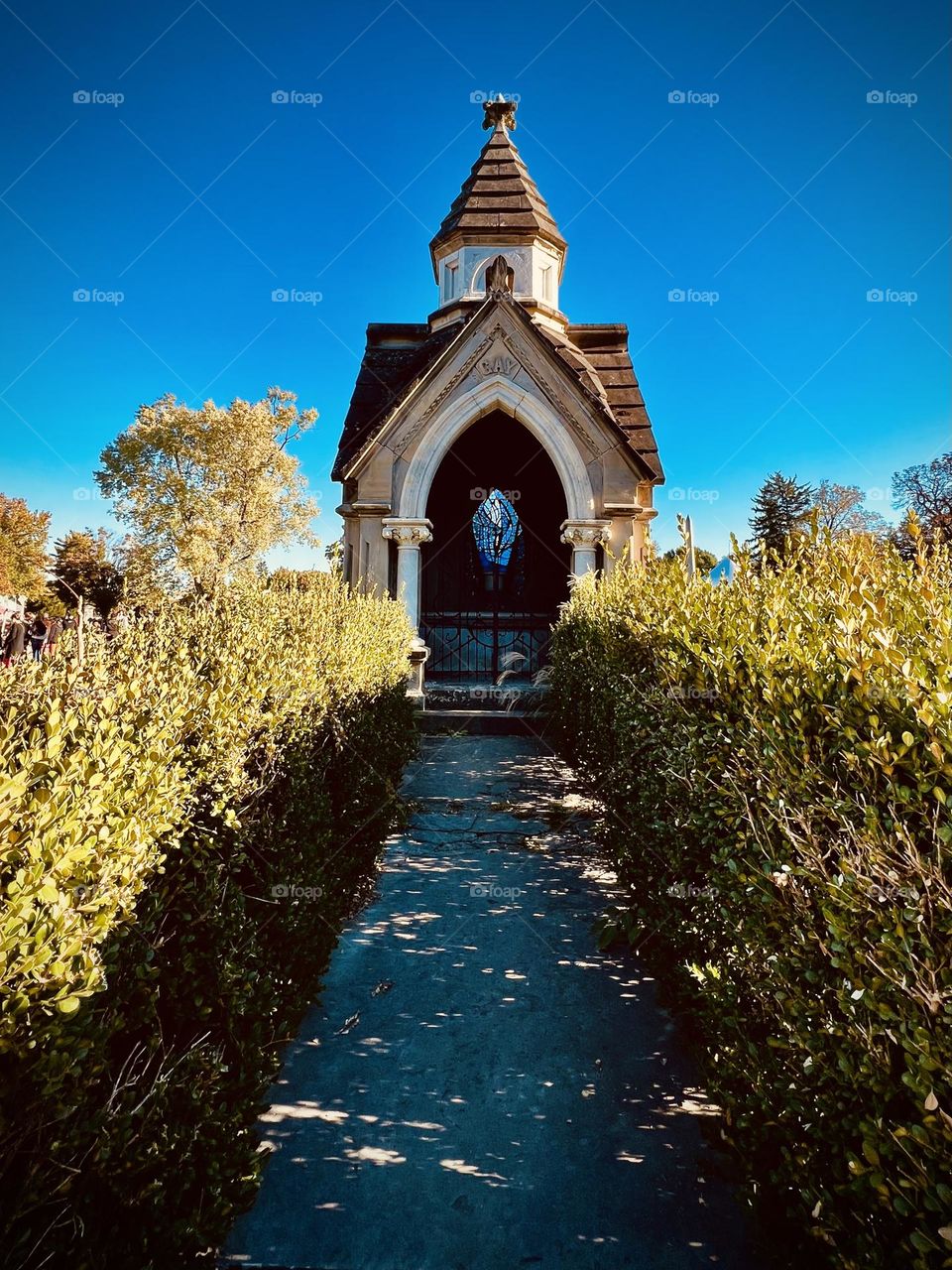 A hauntingly beautiful crypt in a big old cemetery 