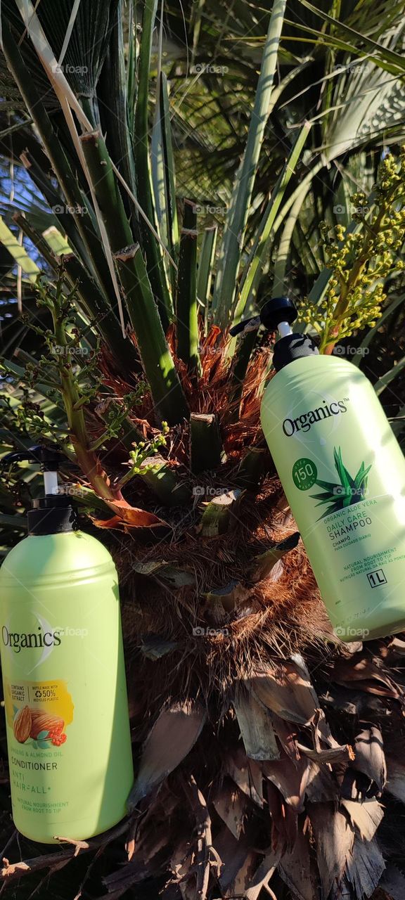 Organis Daily Care 2-in-1, Shampoo and Conditioner