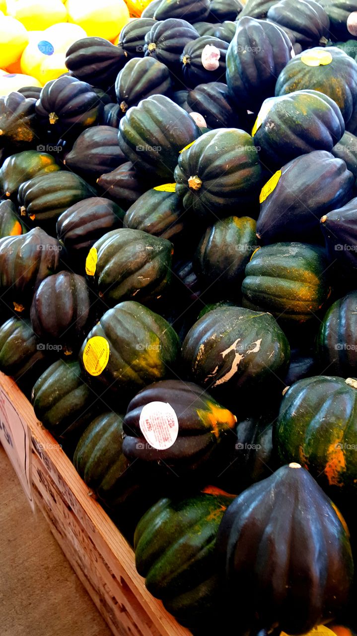 acorn squash