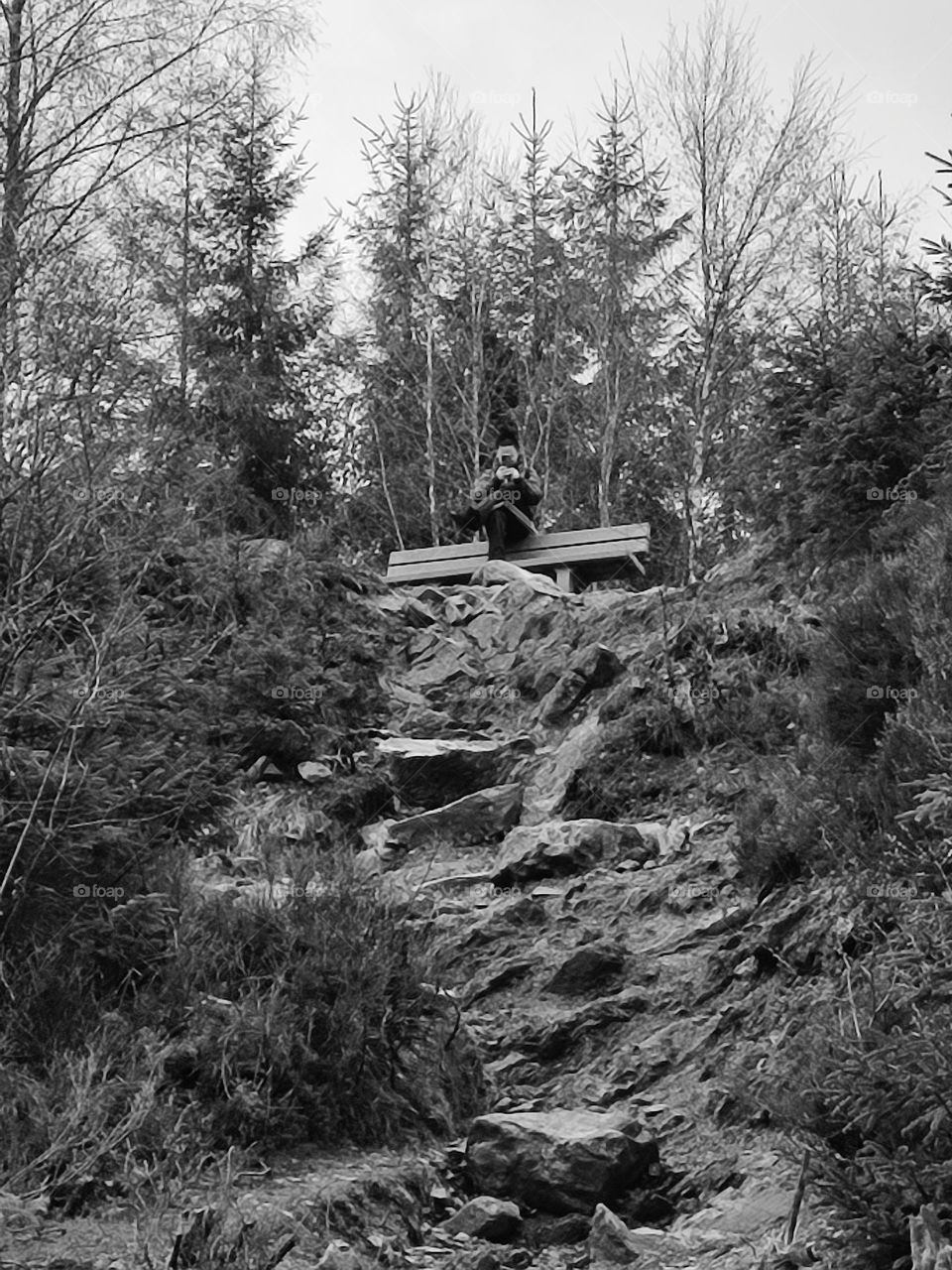 Walk in the woods, Bayehon waterfall, Belgian Ardennes, Vielsam