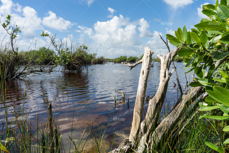 We need to stop more often and appreciate what’s around us 