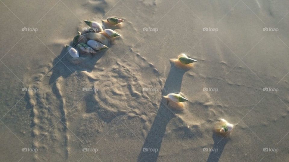 Water, Beach, Sand, No Person, Ocean