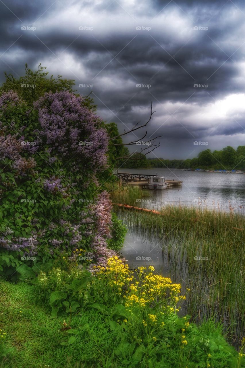 Cloudy day at the park. Cloudy day at the park