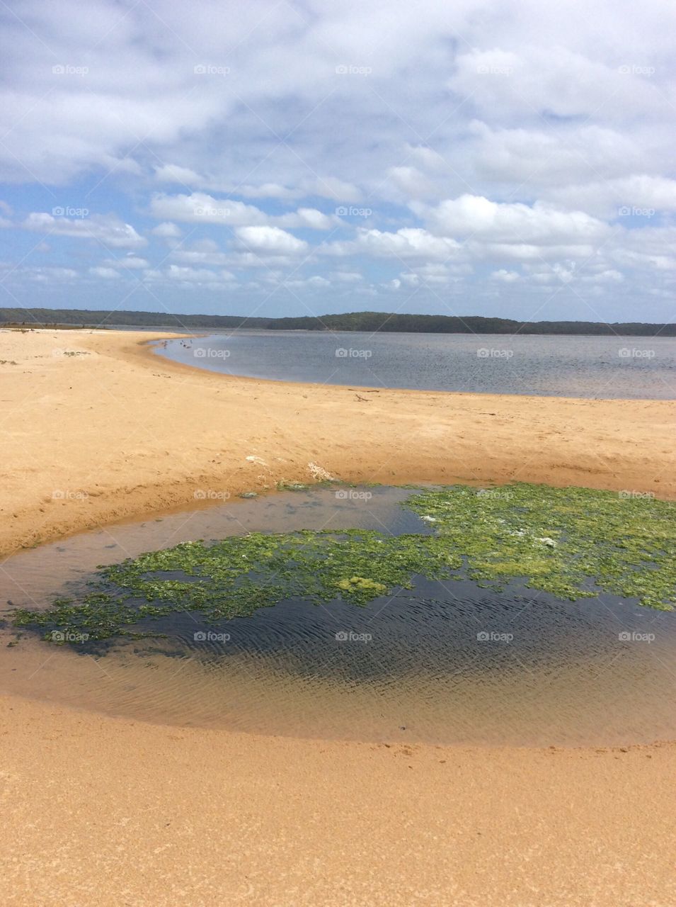 Natural reserve walk by the beach Australia 