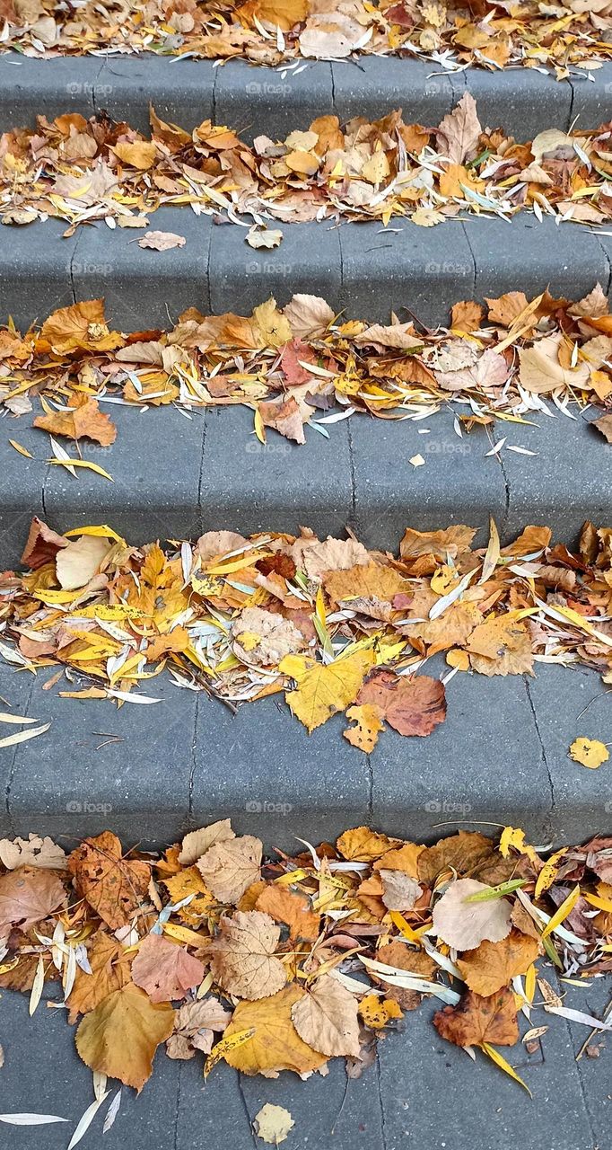 vintage nature autumn time