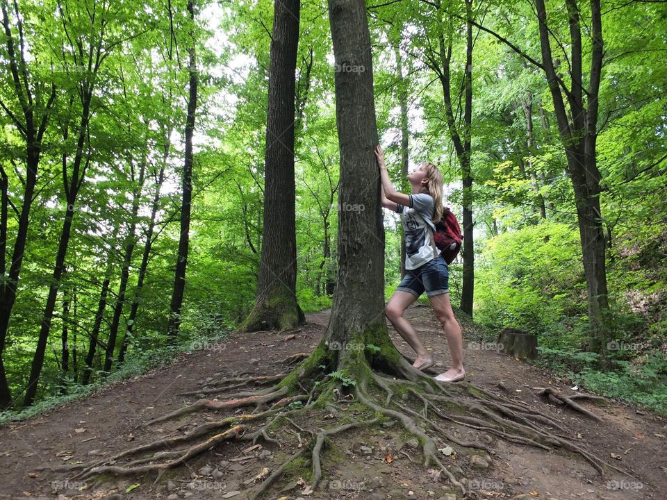 Enchanted Lens: Exploring the Magic Forest