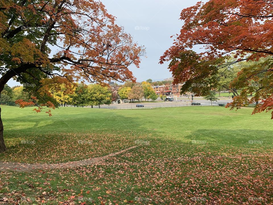 Park mont-Royal in Montreal 