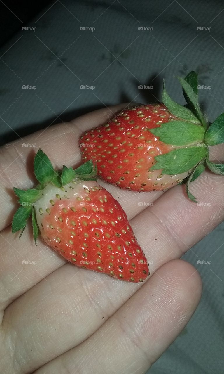 Strawberries. One of my favorites
