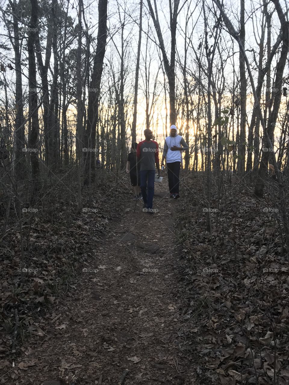 Ruffner Mountain Nature Center and trails