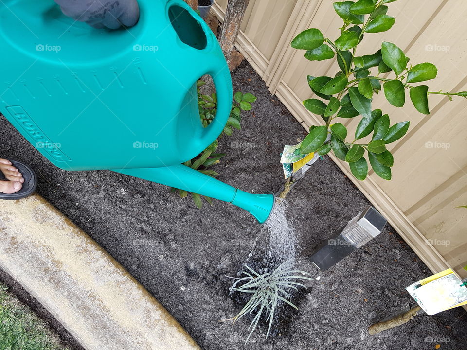 green watering can