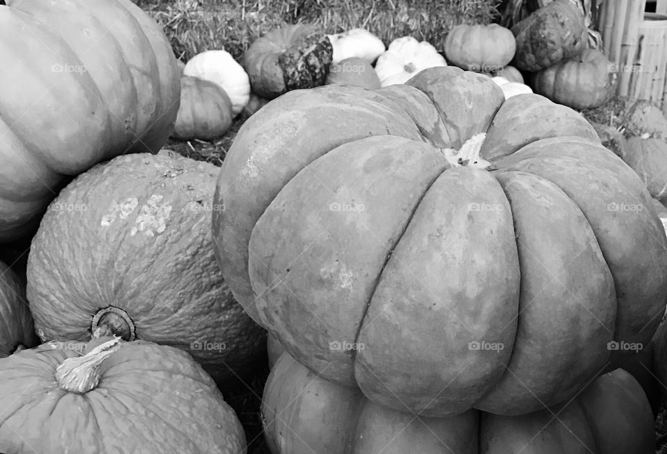 Pumpkins (Black & White) 2