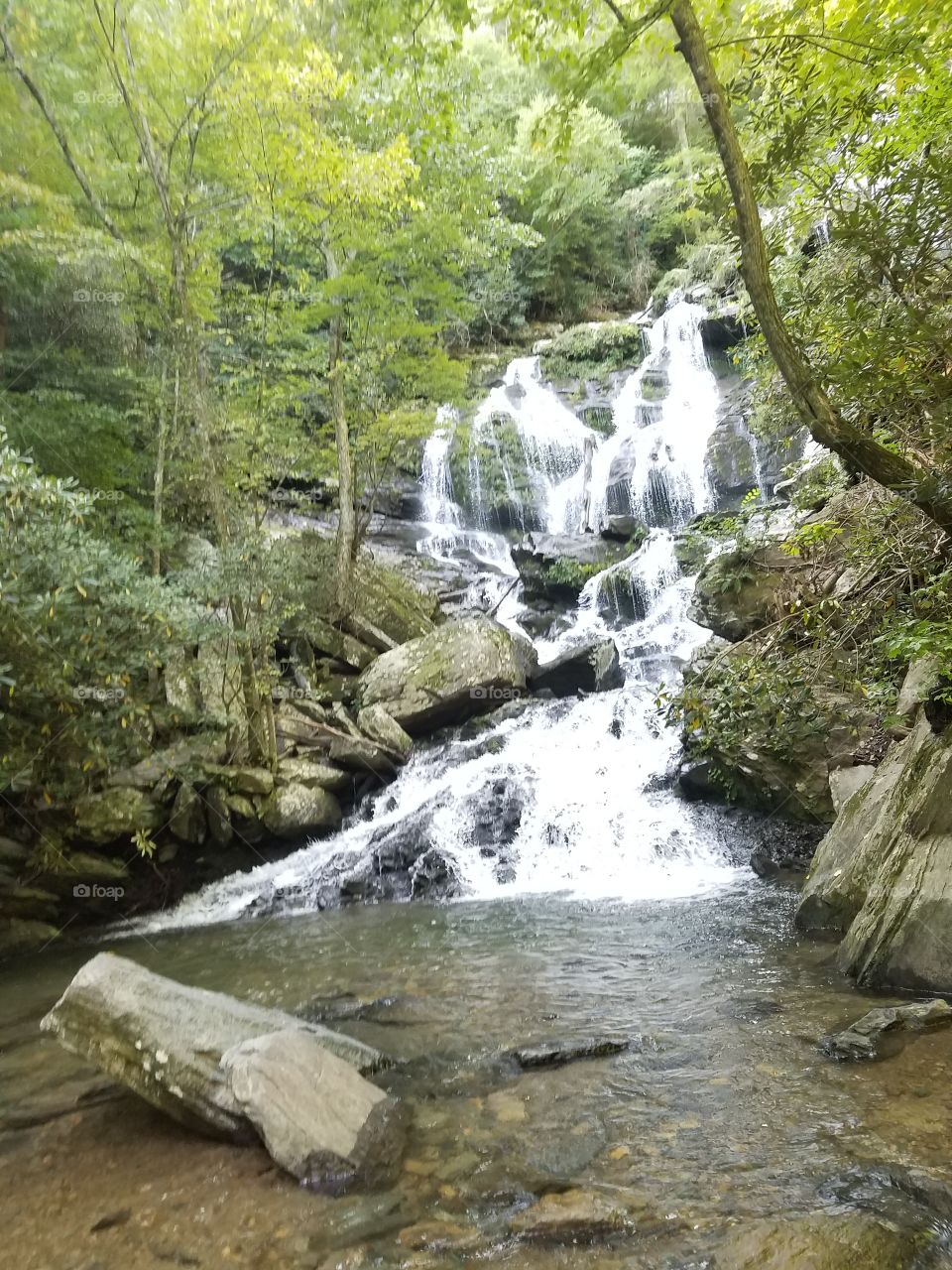Catawba Falls