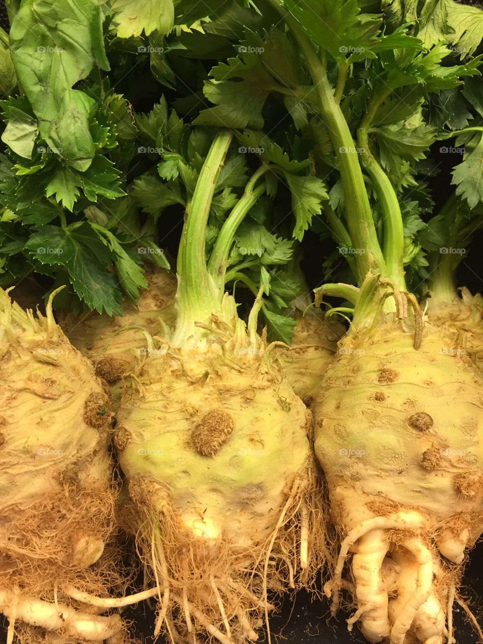 Close-up of root vegetables