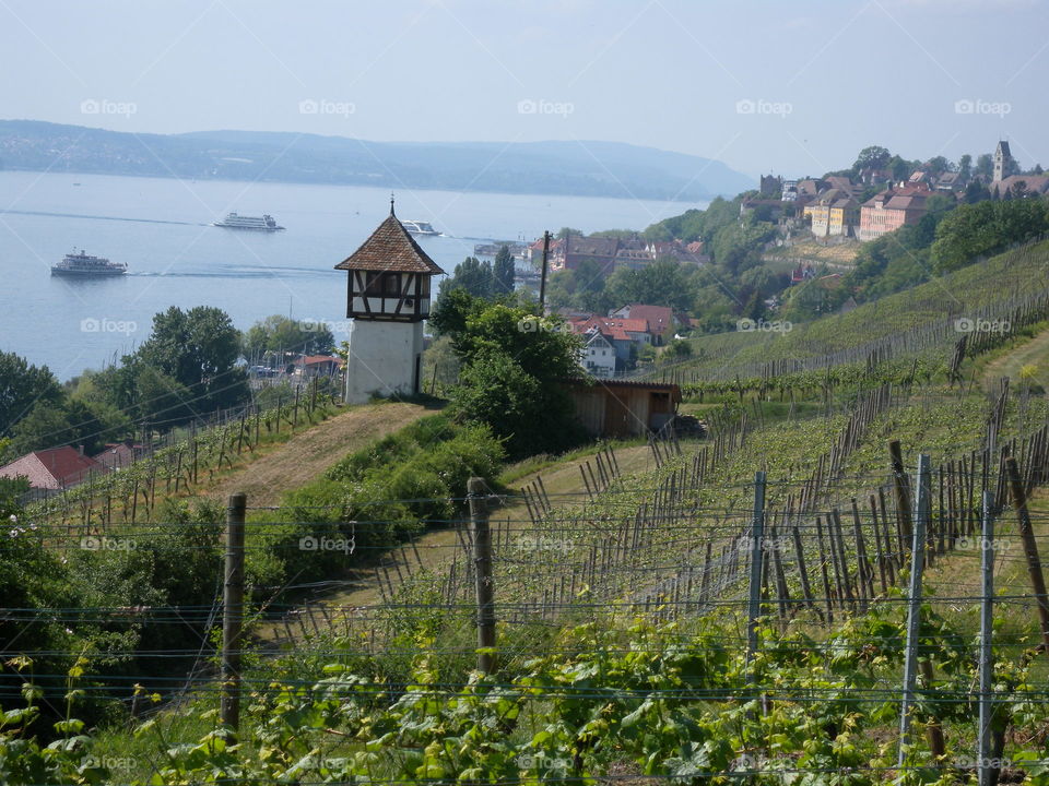 Bodensee
Lake Constance