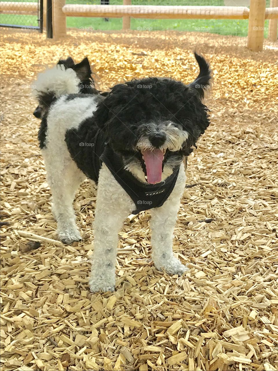Mike is happy to be at the park