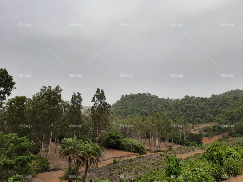 Nature, Mountains, trees