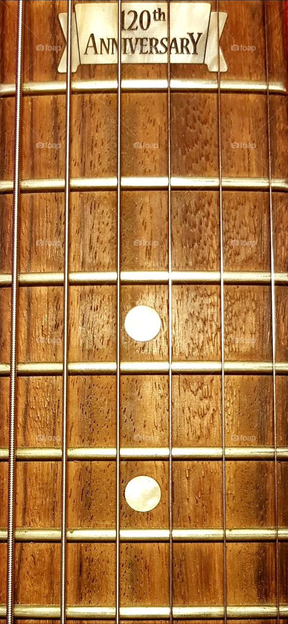 Gibson's 120th anniversary guitar strings