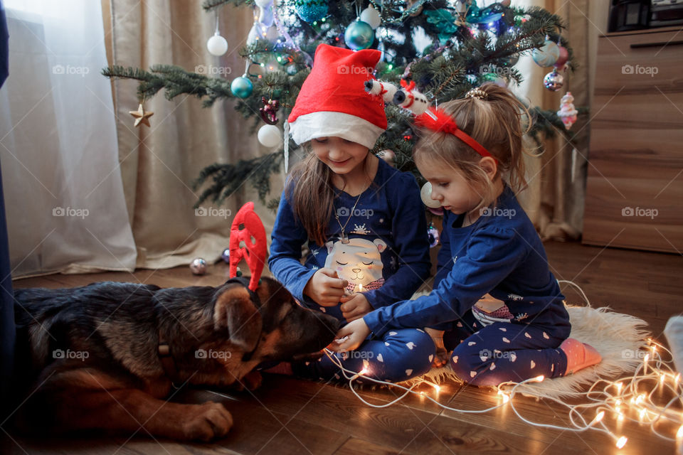 Little sisters with German shepherd puppy near Christmas tree 