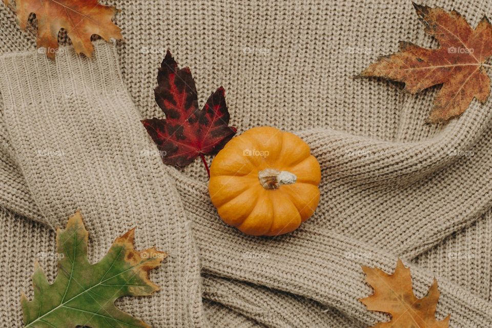 Fall