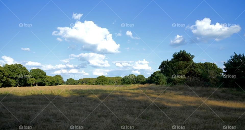 clouds over the land