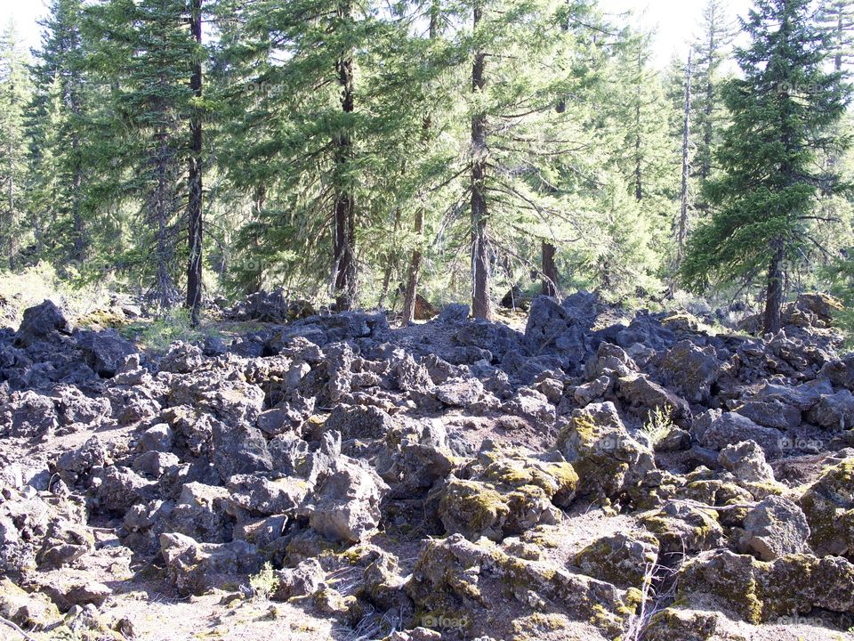 Jagged and rugged hardened lava rock high up in Oregon’s Cascade Mountains and forests on a sunny summer morning. 