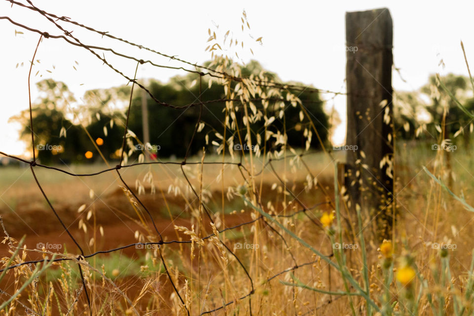 Weakened Fence