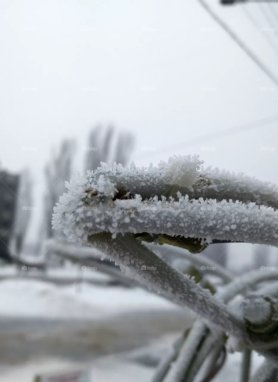 Frost