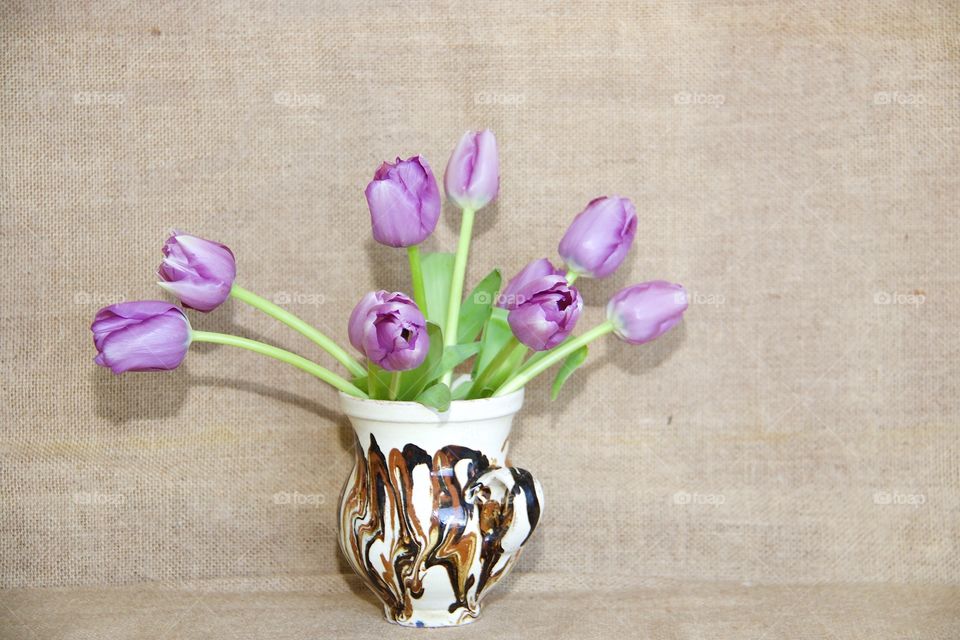 Purple tulips