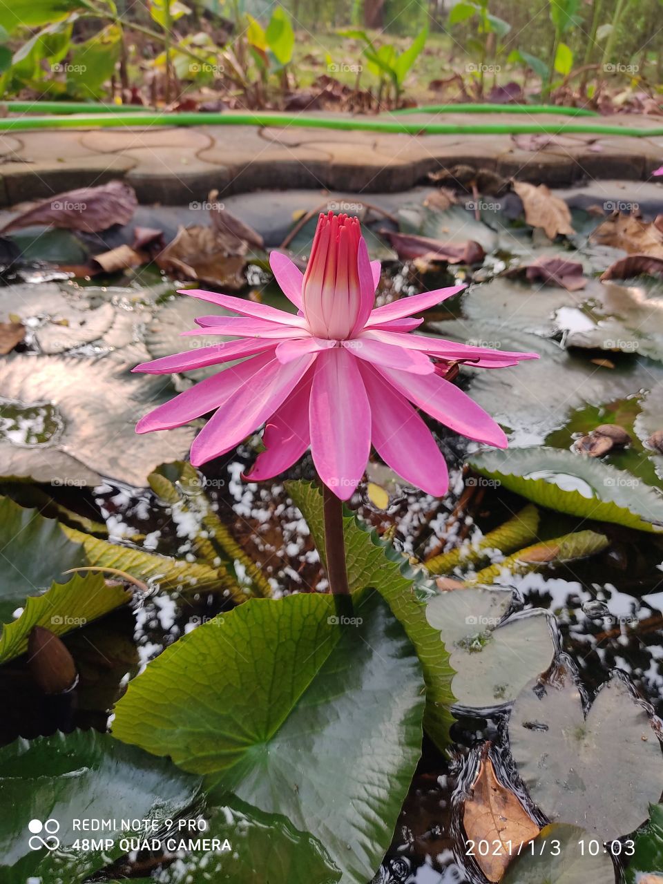 Alone but different 🌸