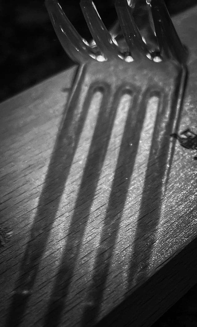 Dark black and white tones blur the end of the fork and beginning of its shadow. Let your mind decide what it can morph into.