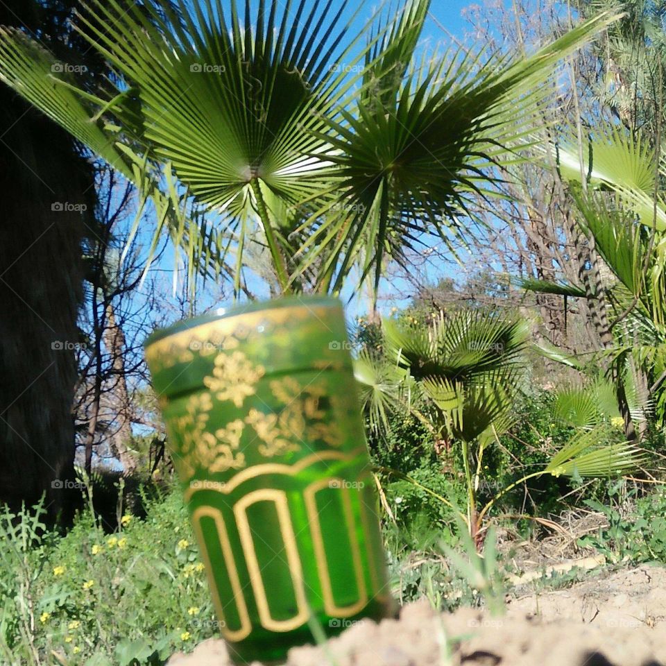 Beautiful green cup of tea in nature