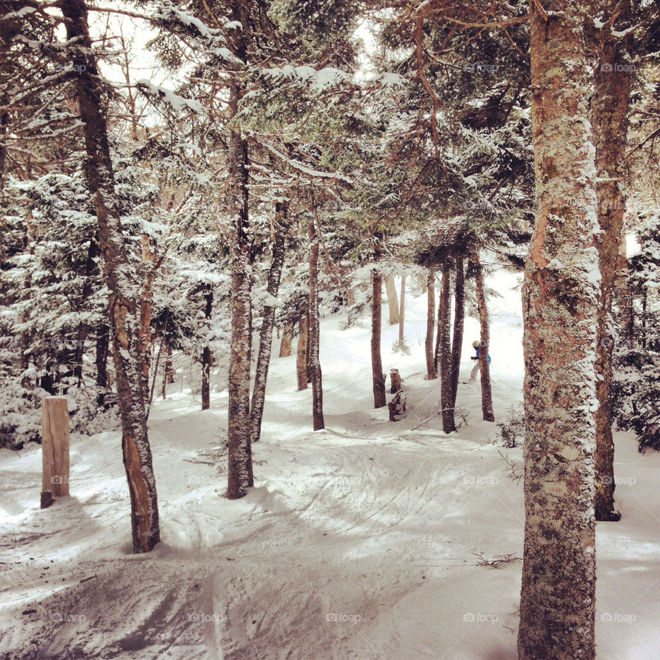 Tree skiing at stratton vt