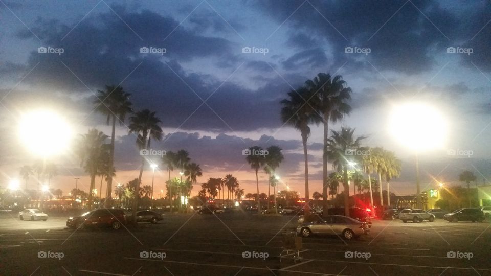 Sunset & palms