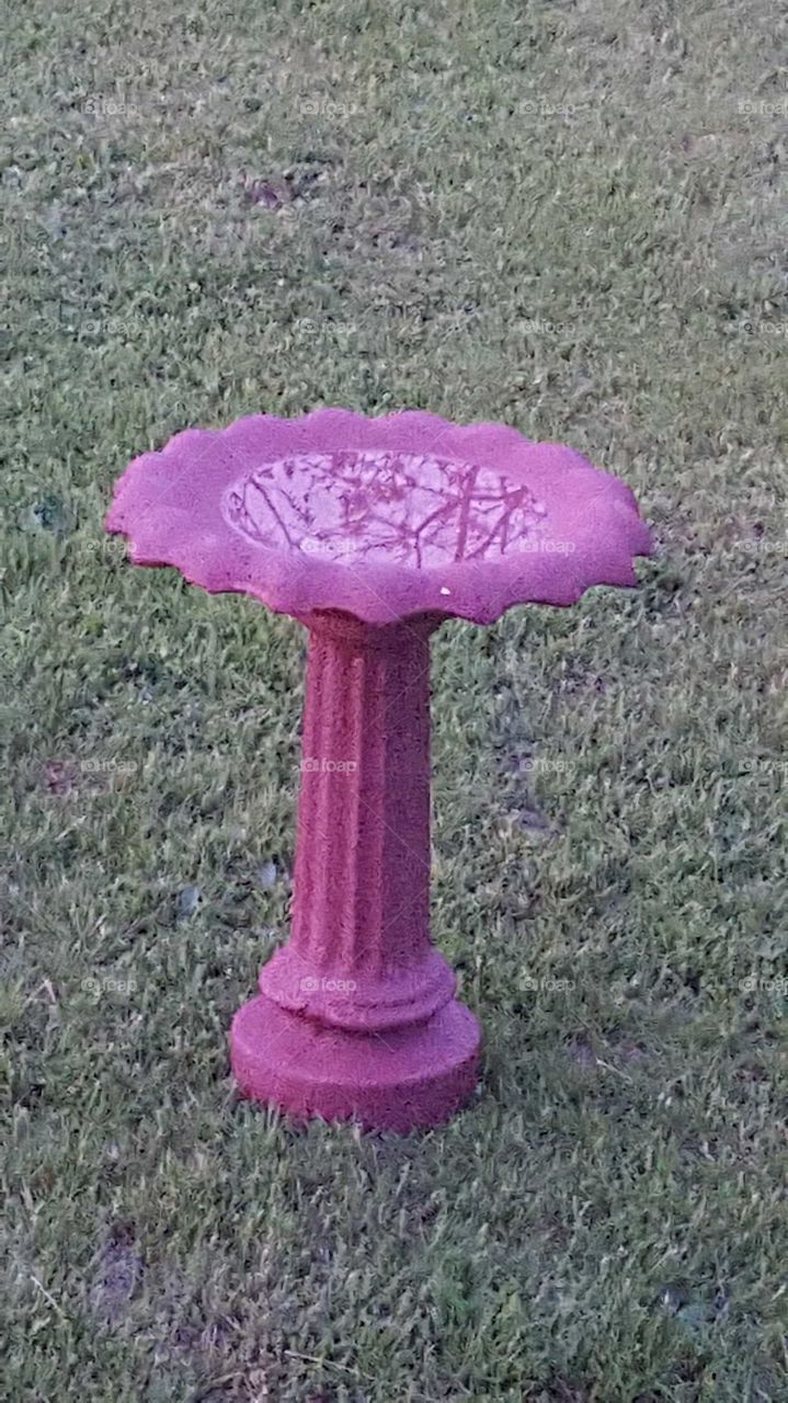 No Person, Outdoors, Summer, Nature, Color