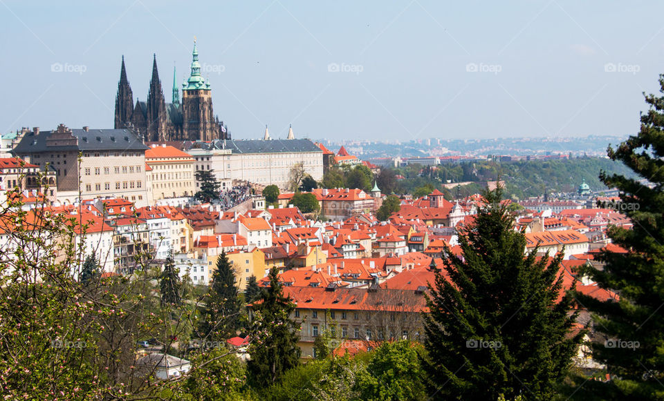 Prague castle skyline 