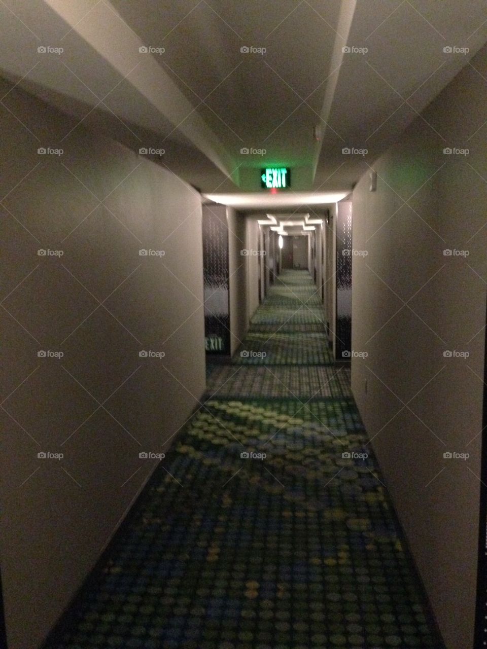 Twilight Hallway

Published by:
HappyBrownMonkey 