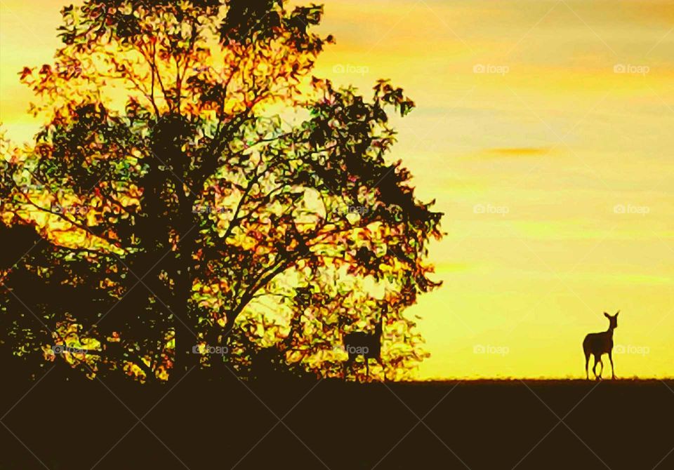 Driving the Back Roads and enjoying everything around us. Watching the sunset on the top of the hill.