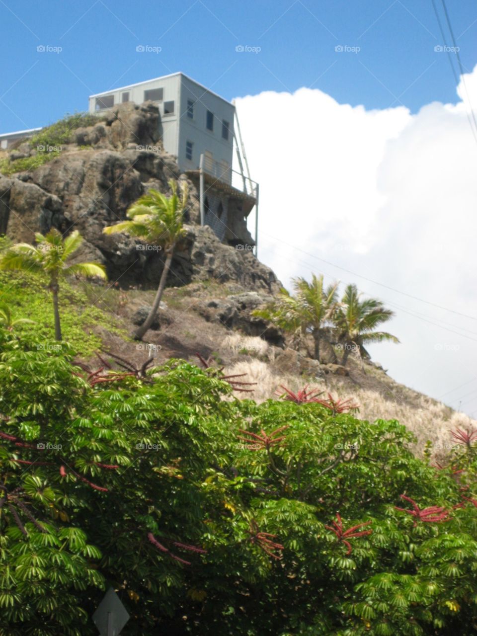 Architecture. House on a Mountain