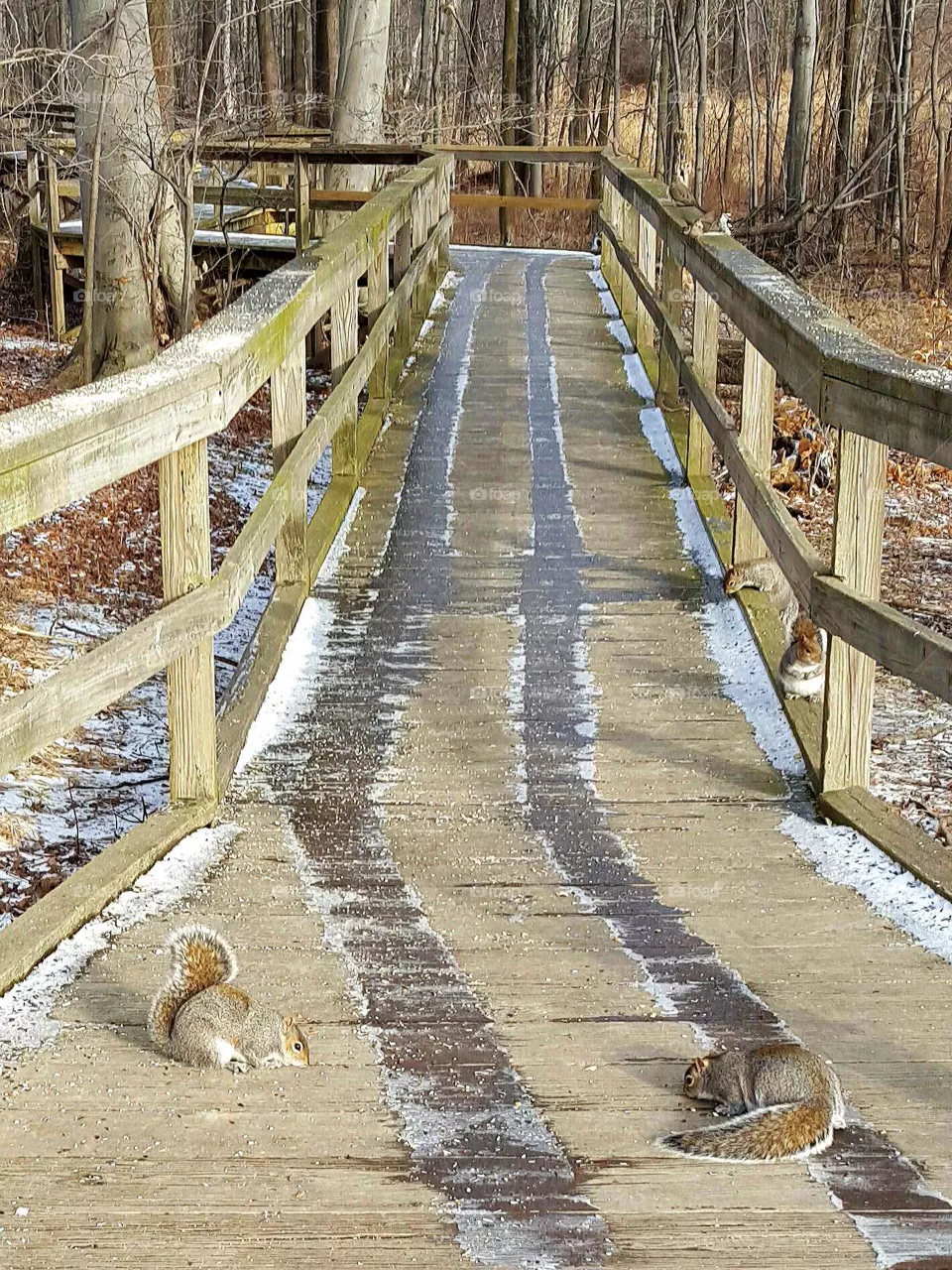 boardwalk