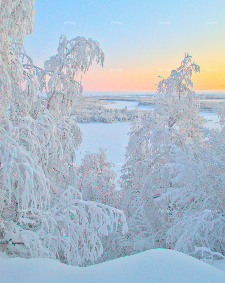 Polar region, white silence, snow, sunset, winter, north, winter silence, beauty, winter color, sunset color, competition, north, northern winter, ice, frost, evening,