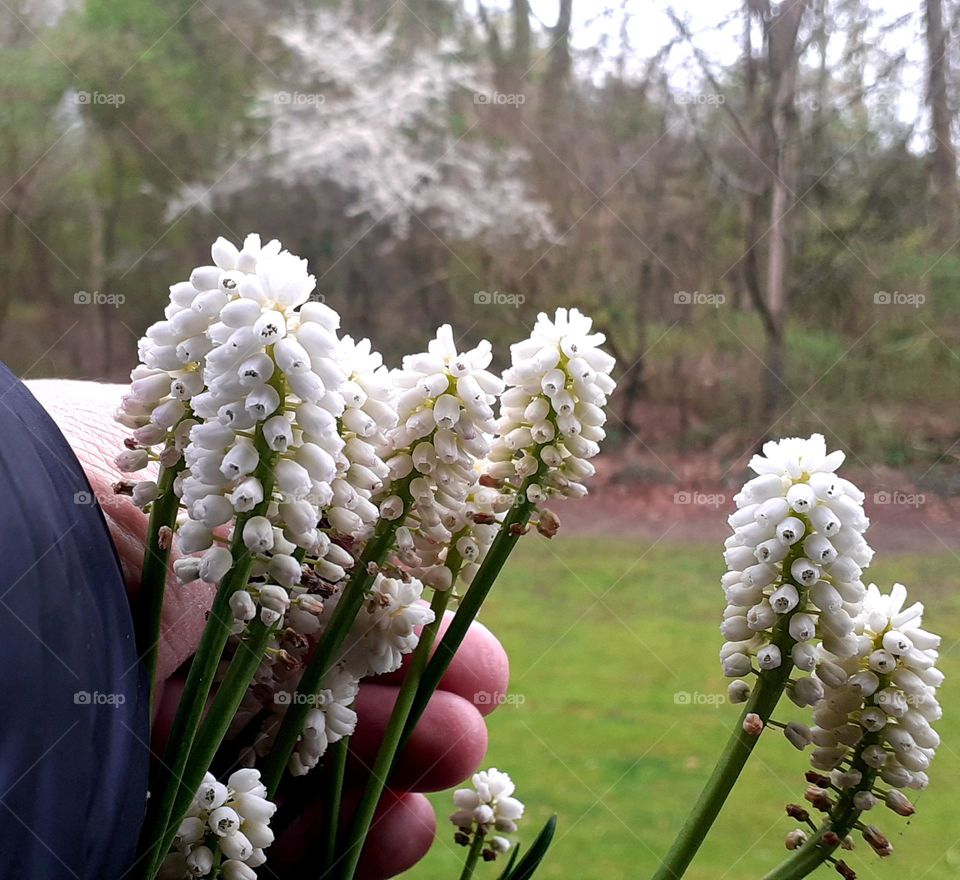 working with plants on the balcony - Earth Day