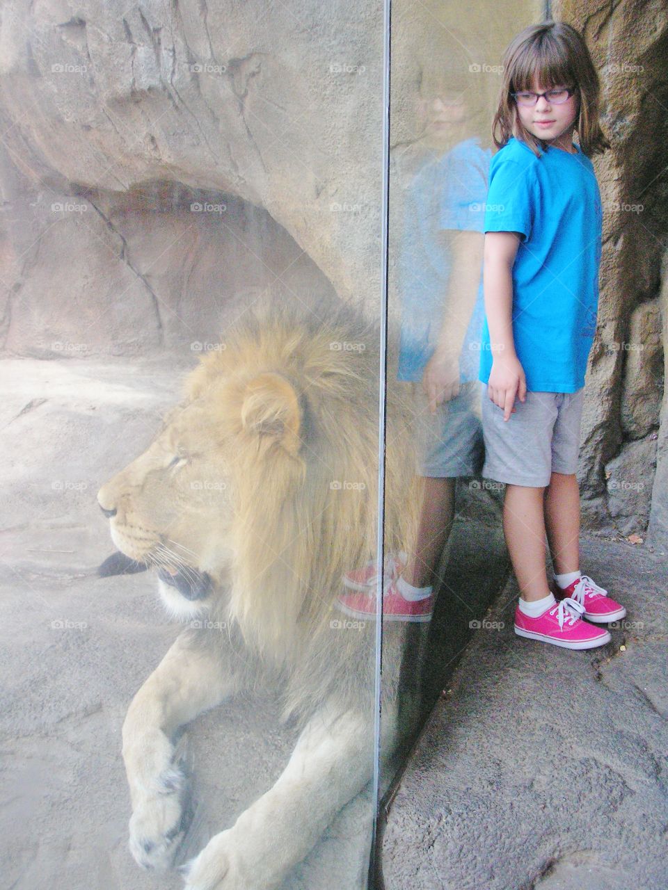 Girl and lion. Girl watching look through glass 