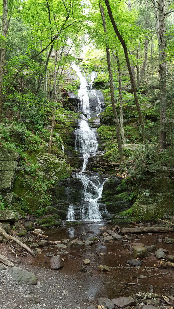 Buttermilk Falls, New Jersey