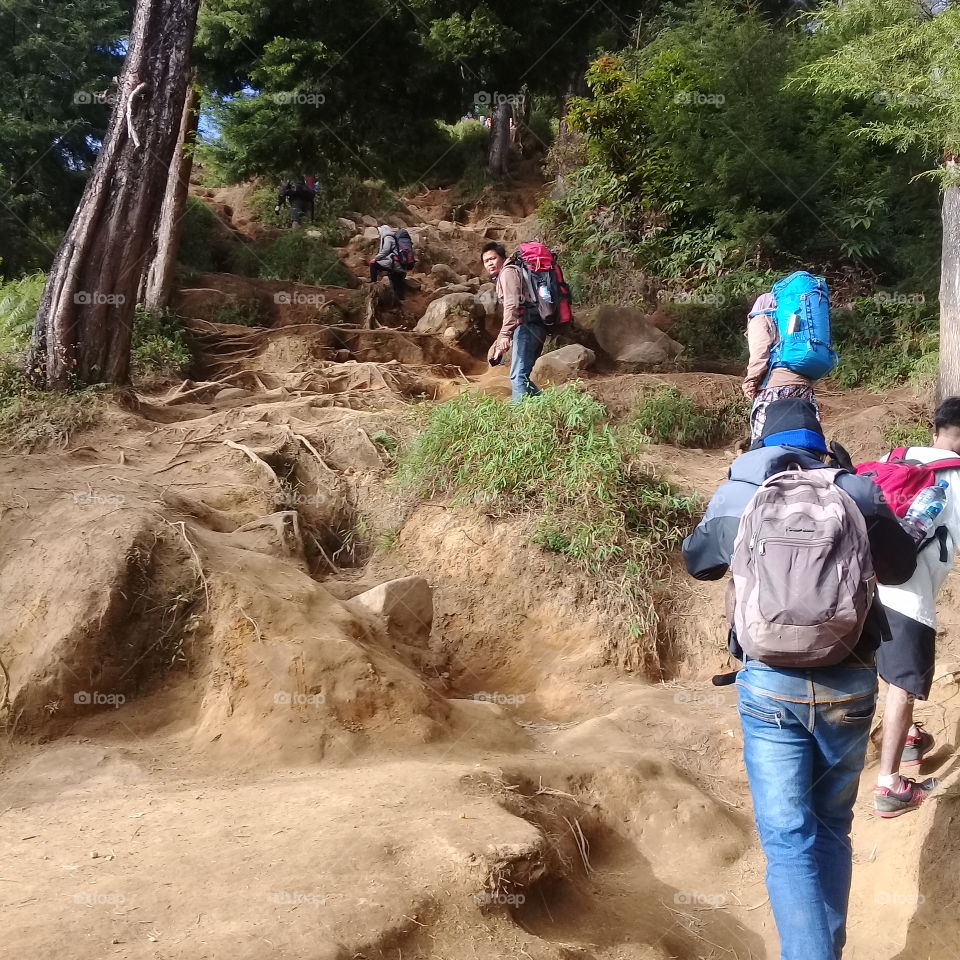 a group of young people climbing mountains