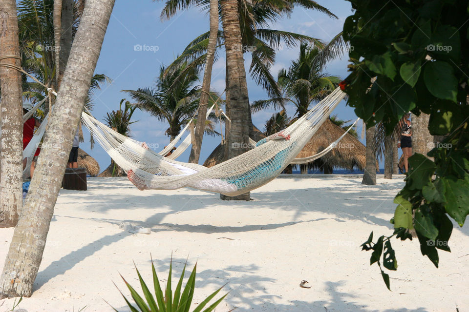 Beach, Palm, Tropical, Sand, Summer