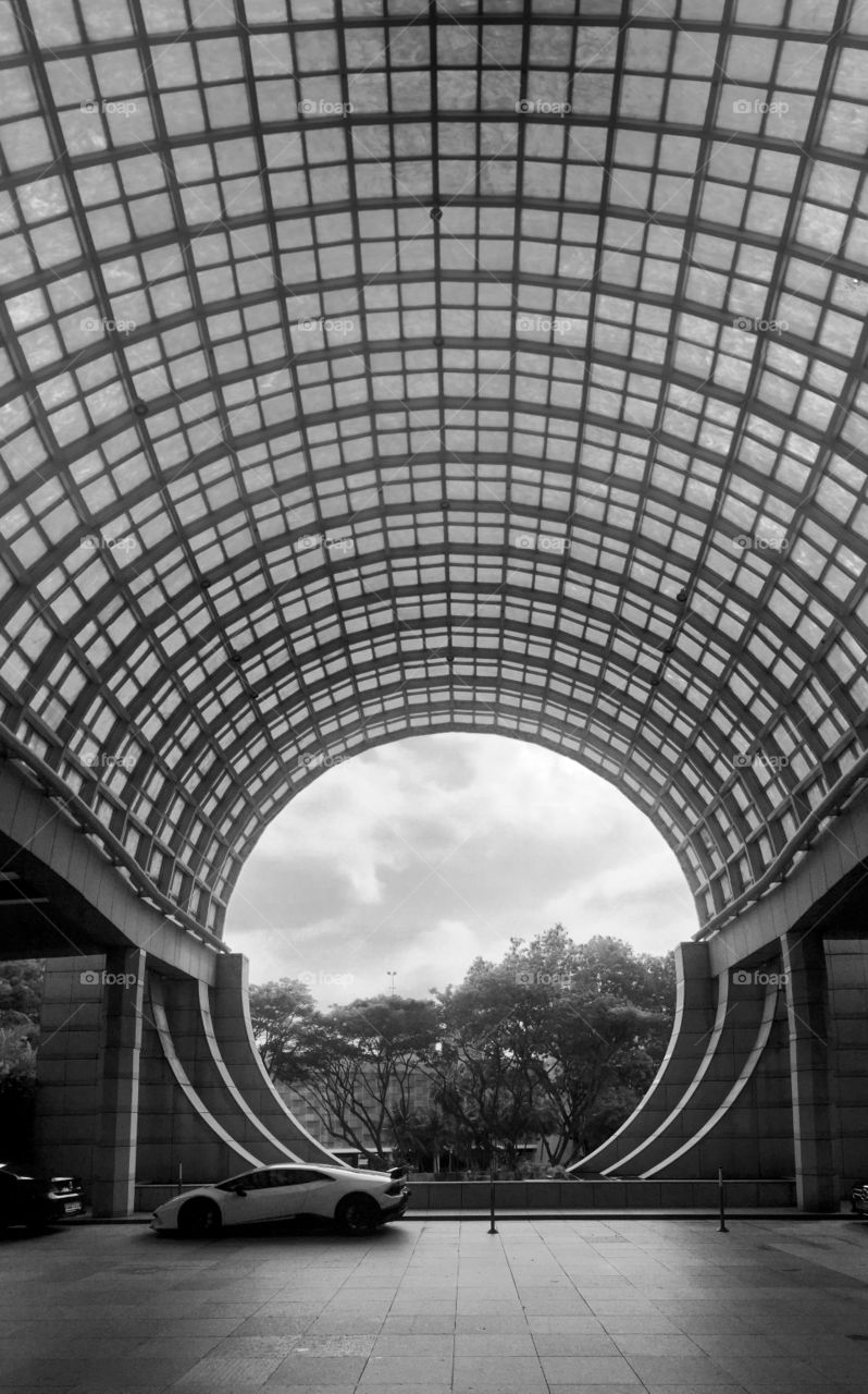 Black and white view 