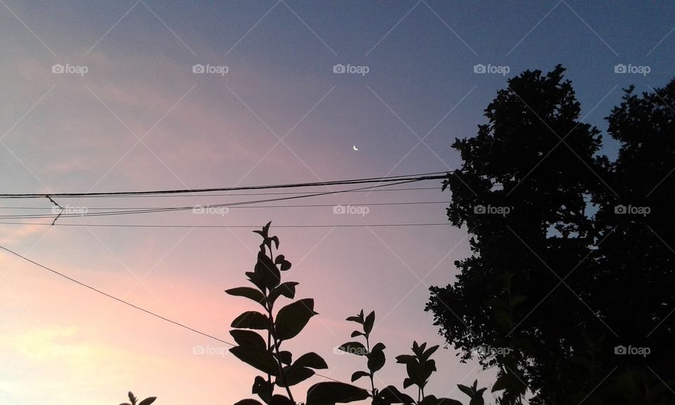 Sky, Landscape, Silhouette, Nature, Tree