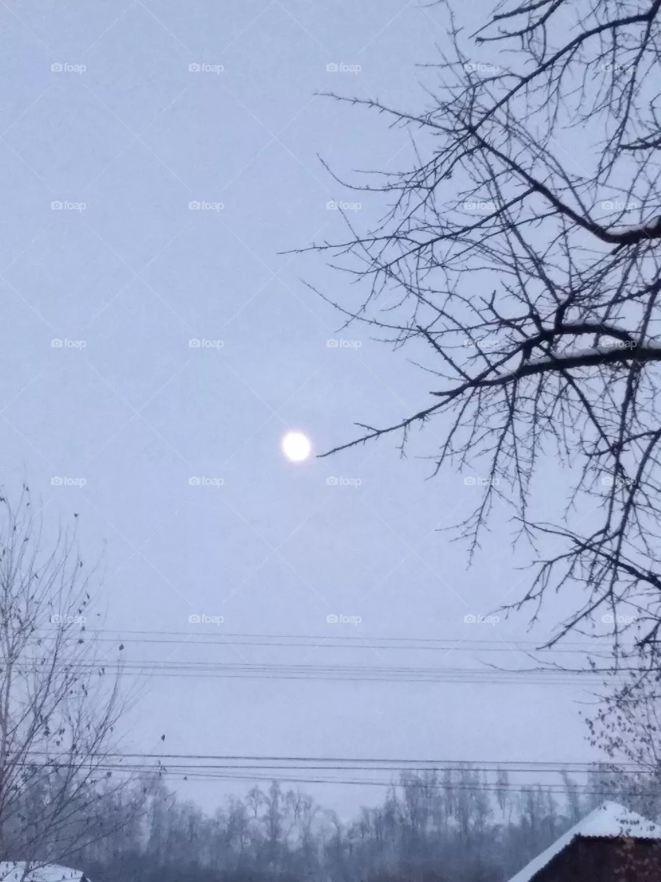 moon